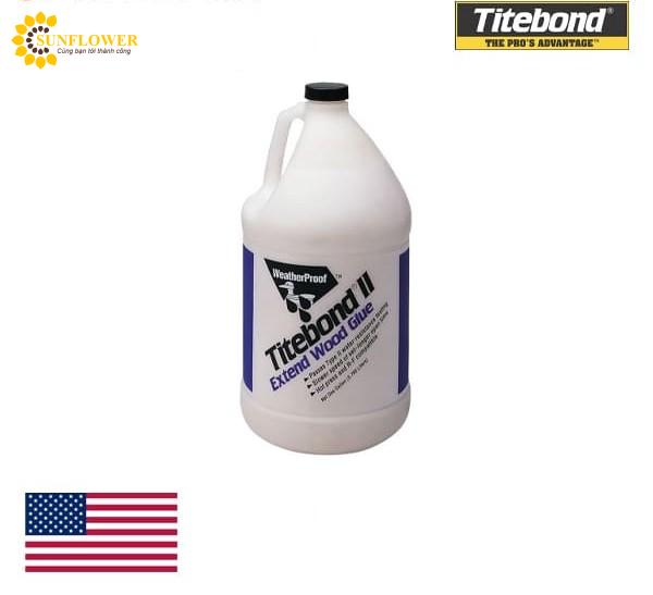 Keo Titebond II Extend Wood