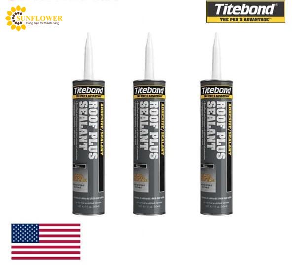 Keo Titebond Roof Plus Sealant