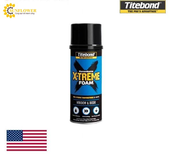 Keo Titebond X-Treme Window & Door Foam Sealant